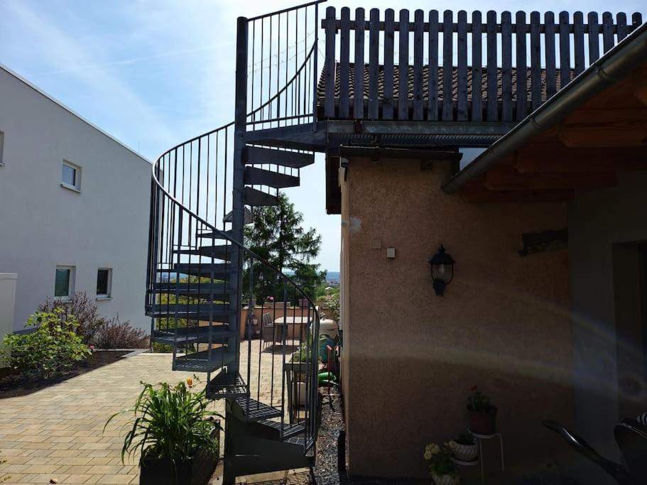 Blick Ueber Dresden - Terrasse - 3 Zimmer - Modern Renoviert Zewnętrze zdjęcie